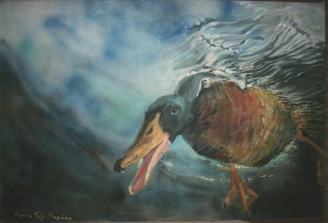 h voutia-60x90 001